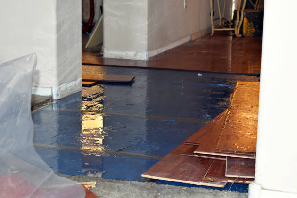 Professional Burst Pipe Cleanup technician working in Ingleside, TX